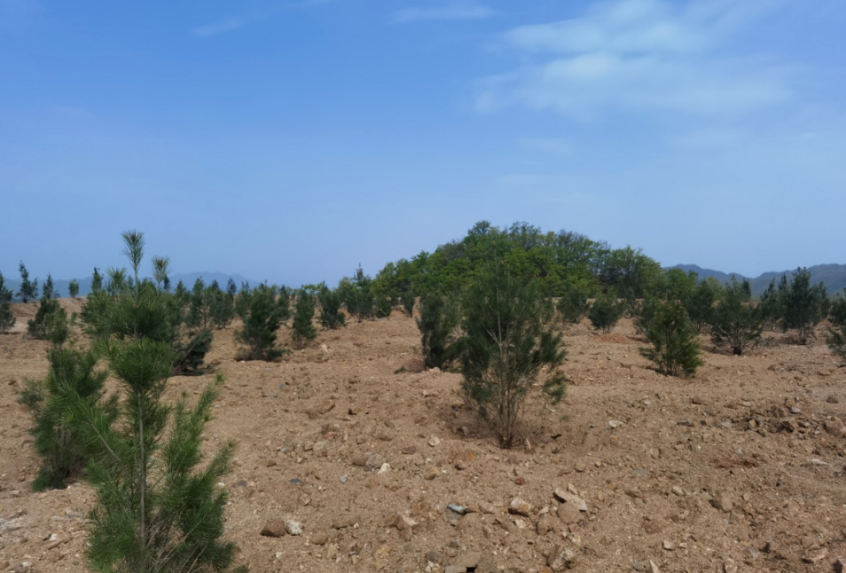 ΢ÐŽØÍ¼_20230823153915.png ΢ÐŽØÍ¼_20230823153915.png