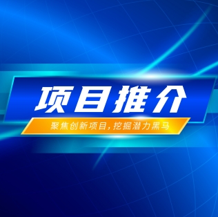 项目推介 | 基于RISC-V的数字信号处置器产品产业化